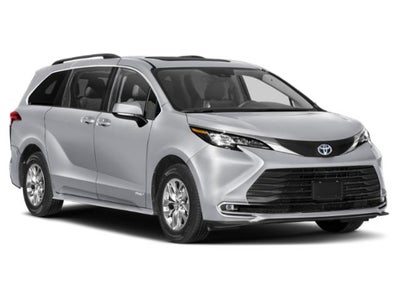 2025 Toyota Sienna XLE