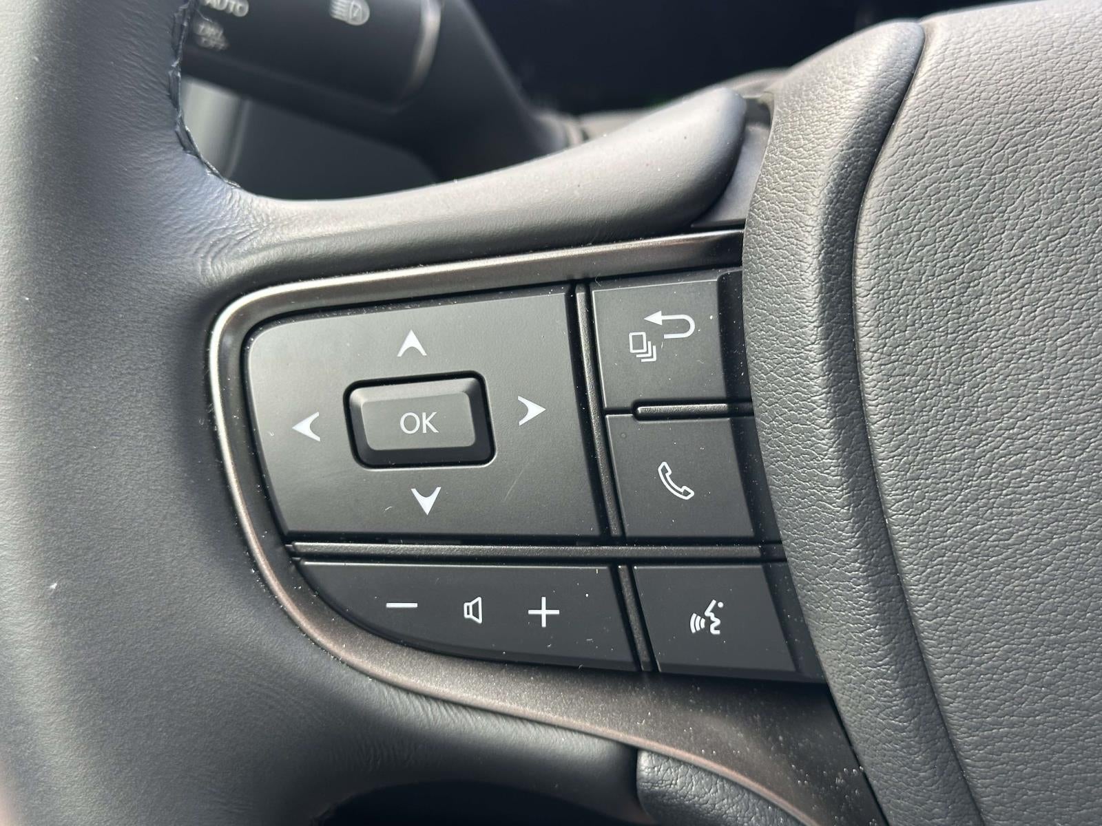 2025 Lexus UX 300h Premium