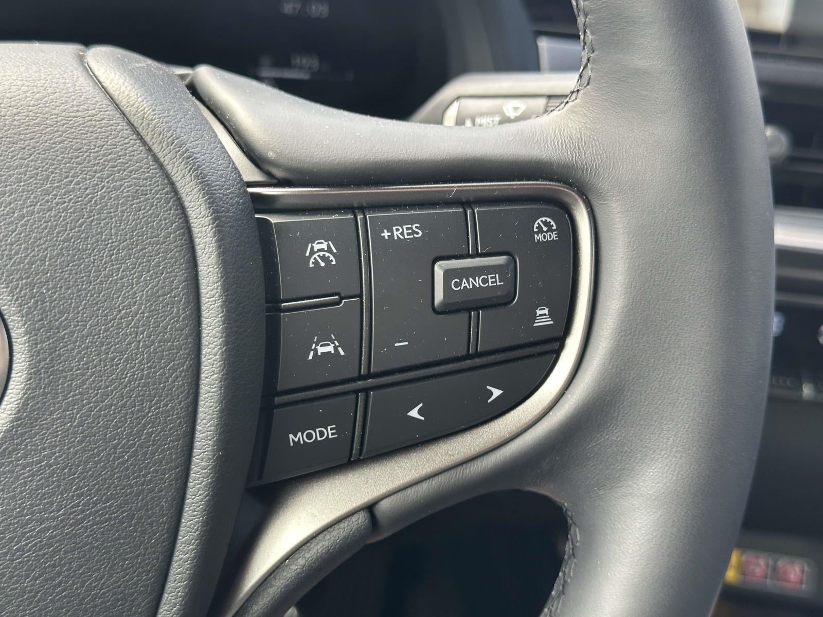 2025 Lexus UX 300h Premium