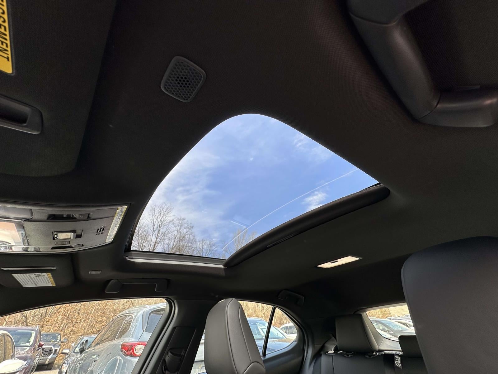 2025 Lexus UX 300h Premium