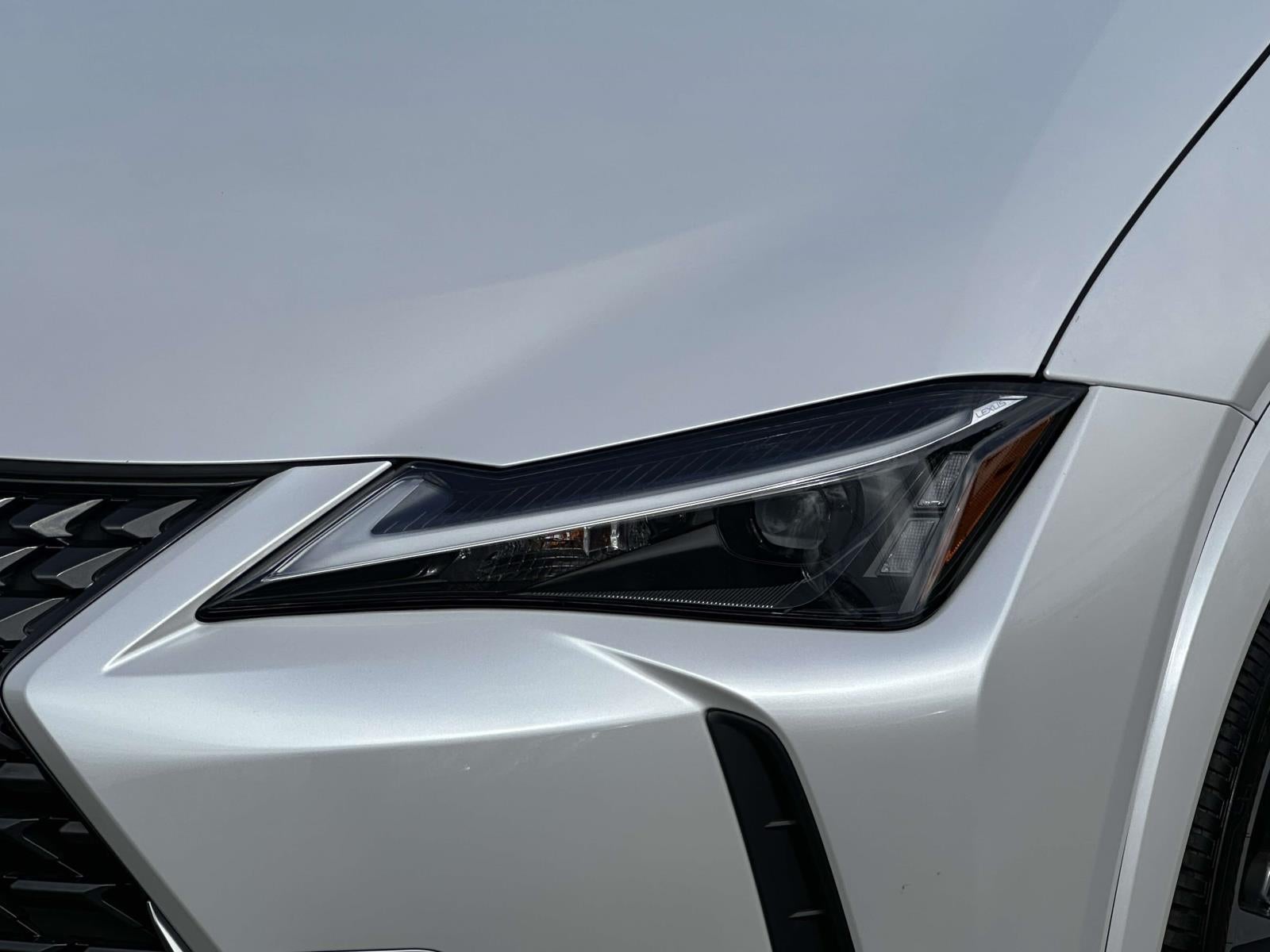 2025 Lexus UX 300h Premium