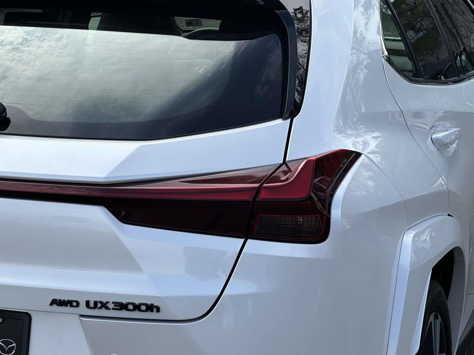 2025 Lexus UX 300h Premium