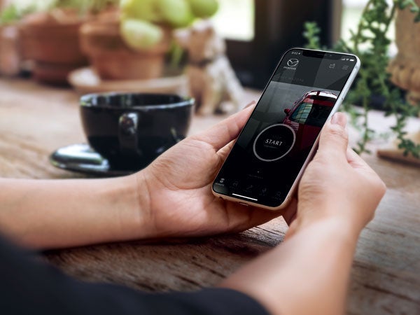 Empire Mazda of Green Brook in Green Brook Township NJ